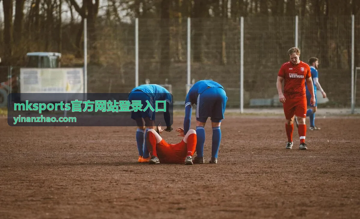 mksports官方网站登录入口的登录方式选择建议图示