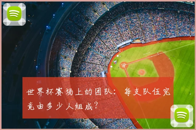 世界杯赛场上的团队：每支队伍究竟由多少人组成？