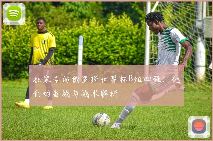独家专访俄罗斯世界杯B组四强：他们的备战与战术解析
