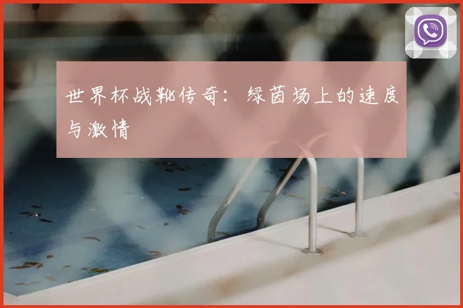 世界杯战靴传奇:绿茵场上的速度与激情