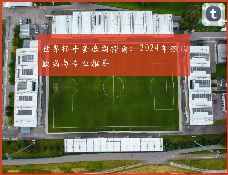 世界杯手套选购指南:2024年热门款式与专业推荐