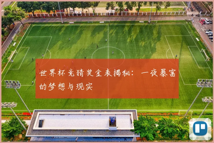 世界杯竞猜奖金表揭秘：一夜暴富的梦想与现实