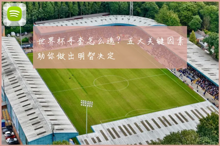 世界杯手套怎么选?五大关键因素助你做出明智决定